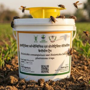 ICAR-Licensed Pheromone Trap for White Grub