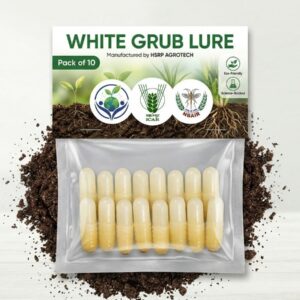 Shatpada White Grub Lure (Pack of 10)