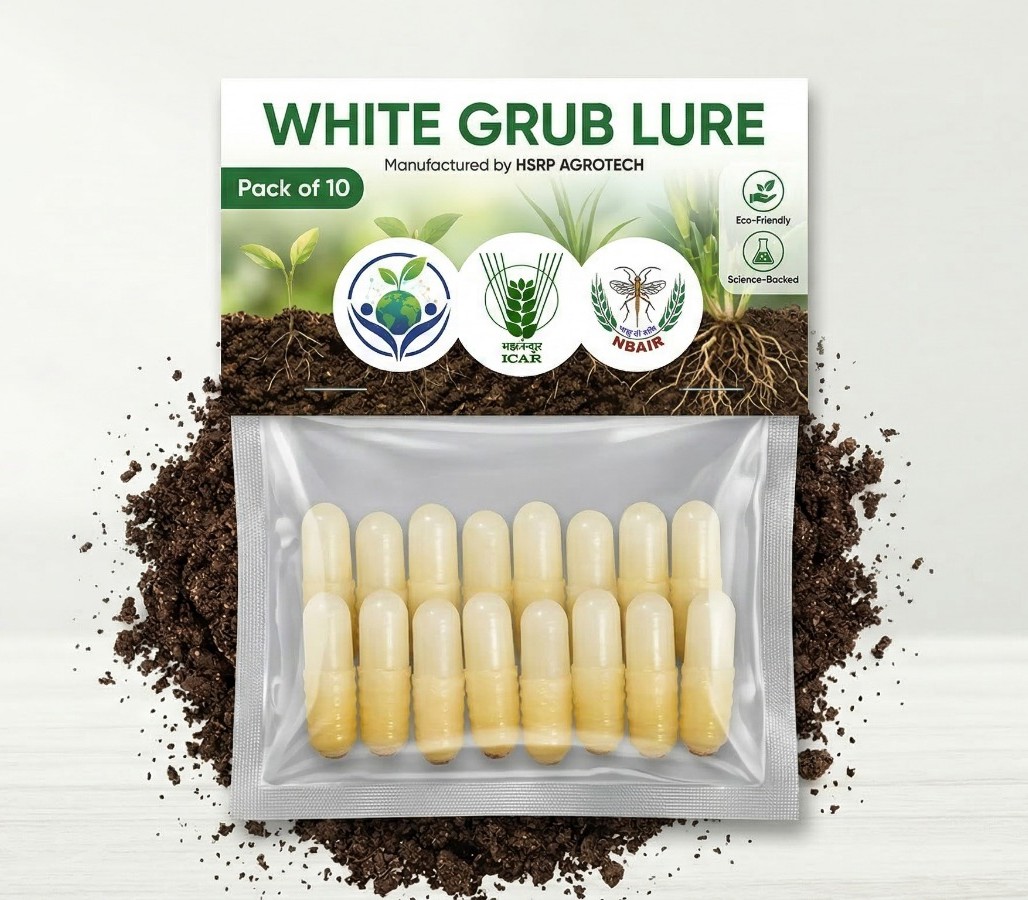 Shatpada White Grub Lure (Pack of 10)